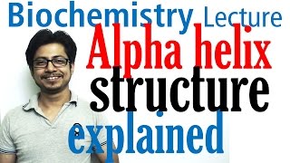 What is secondary protein structure apbiology biochemistry proteinstructure [upl. by Naus]