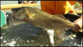 Lake Diefenbaker  Fishing [upl. by Wit]