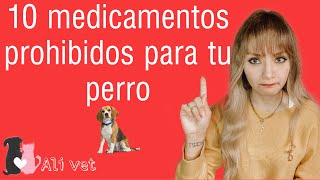 10 MEDICAMENTOS PROHIBIDOS PARA TU PERRO [upl. by Noram156]