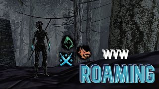 Gw2 WvW  Multiclass roamingoutnumbered [upl. by Pelagias]