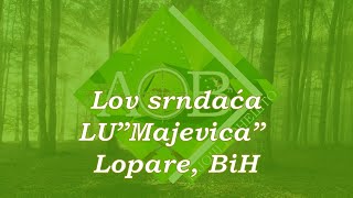 Lov srndaća LU quotMajevicaquot Lopare BiH [upl. by Goetz256]