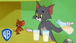 Tom y Jerry en Latino  Tom y Jerry en pantalla grande  WB Kids [upl. by Jorie]