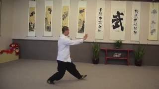 48 Yang style Tai Chi [upl. by Etteneg]