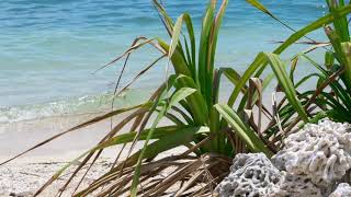 Destin Beach Florida  Relaxing White Noise  HD 1080p [upl. by Ayouqes]