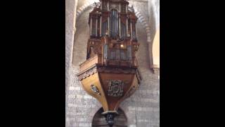 Orgue de Tournus [upl. by Enelav]