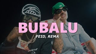 Feid Rema  Bubalu LetraLyrics dulcecita flow trululu cremita de coconut [upl. by Aihseym280]