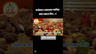 বর্তমানে কোয়েল পাখির দাম জেনে নিন  shortvideo koelpakhipalon mubinagrofarm [upl. by Frymire]