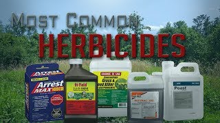 Five Most Common Food Plot Herbicides [upl. by Assirolc871]