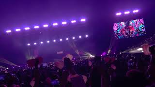 Blackpink Manila blink fans fanchant quotas if its your lastquot before start 2019 feb 2 [upl. by Kast]