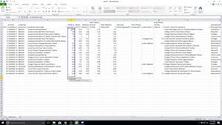 Filtrarea datelor in Excel [upl. by Nnalorac]