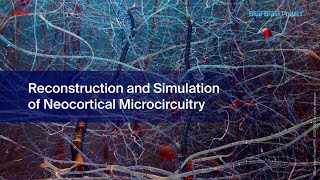 Reconstruction and Simulation of Neocortical Microcircuitry [upl. by Imotas]