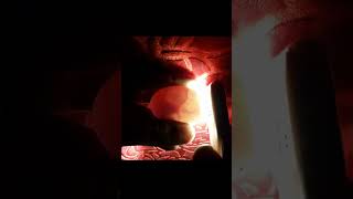 CANDLING CHICKEN EGGS DAY 13 Viral Shorts [upl. by Ettenna729]