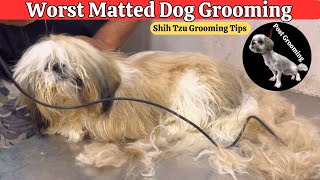 WORST DOG CONDITION FULLY MATTED  9 MONTHS DOG GROOMING FIRST TIME EVER [upl. by Metabel756]