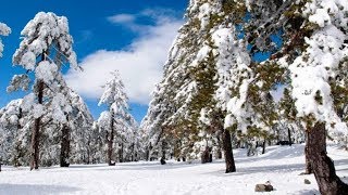 СНЕГ НА КИПРЕ В МАРТЕ SNOW IN CYPRUS IN MARCH [upl. by Gnok590]