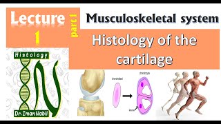 1aHistology of Cartilage part1IntroductionMusculoskeletal system [upl. by Slorac]