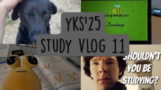 YKS 2025 STUDY VLOG  denemeler  08090724 2 Gün  yks2025 [upl. by Ethelda]