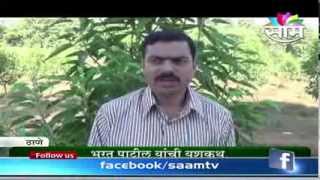 Bharat Patils floricultureFlower Farming Phul Sheti success story [upl. by Alliuqet]