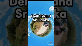 Delft Island Sri Lanka 🇱🇰 shorts viralvideo travel amazing srilanka fyp asiancountry [upl. by Ainnet]