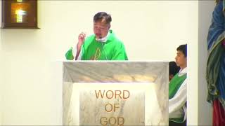 Homily Extract  32th Sunday Of Ordinary Time [upl. by Esmerolda]