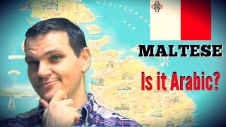 Maltese IS IT ARABIC [upl. by Aikit]