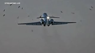 Video captures bird strike on plane during takeoff from Midway [upl. by Akemhs]