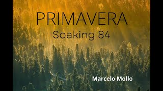 PRIMAVERA  SOAKING 84 VINE A ADORAR A DIOS E IMPROVISACION  PAZ Y MEDITACION EN DIOS  MMOLLO [upl. by Schonthal]