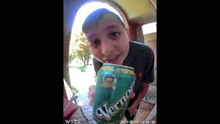 Vernors drink review [upl. by Aivilys]