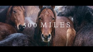 500 Miles  The Story of Ranchers and Horses 2017 [upl. by Bedell]