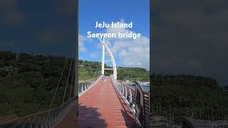 제주도 서귀포 새연교 새섬 JEJU ISLAND [upl. by Arval]