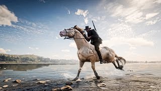 6 All Kladruber horse Details in RDR2 [upl. by Towers]