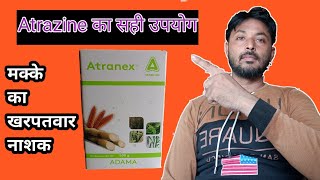 मक्का की फसल में खरपतवार का नियंत्रण ।Atrazine का प्रयोग करने का तरीका।Atrazine 50WP [upl. by Hewett72]