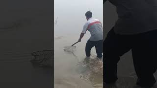 tarbela Dam new update fishing2024 🎣🐟 fish beautiful point [upl. by Nodyarg248]