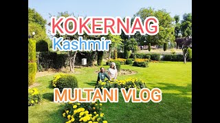 KOKERNAG KASHMIR  KASHMIR TOUR  EP 10  Golden Crown of Kashmir  Multani VLOG  JKTDC Cottages [upl. by True]