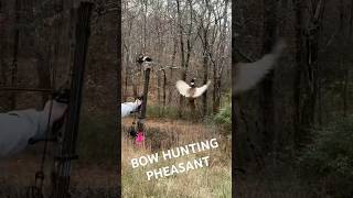 Bow hunting pheasants right out of the air archery wildlife bowhunting hunting nature fypシ゚ [upl. by Leorsiy880]