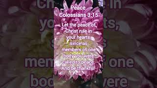 Colossians 315 [upl. by Viquelia]