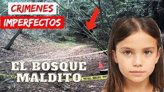 Crimenes Imperfectos  El Bosque Maldito  Documental Historia 2024 [upl. by Leuname213]