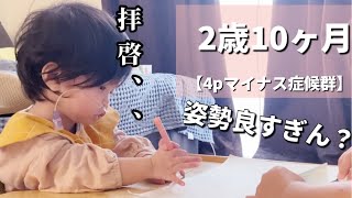 【4pマイナス症候群】ピナちゃんに色鉛筆を渡すとカオスでした。 [upl. by Elokin827]