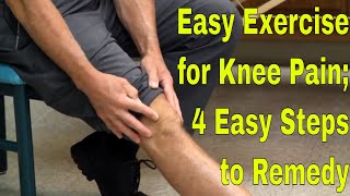 Easy Exercise for Knee Pain 4 Easy Steps to Remedy [upl. by Haroved]