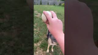 How to grip a 2 seam fastball foryou baseball ￼ [upl. by Salta187]