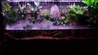 PaludariumThunderstorm Paludarium [upl. by Ynohtnad971]