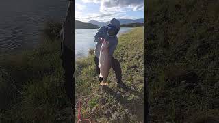 My Record Breaking Catch  Twizel Canal  Salmon Fishing [upl. by Ztirf215]