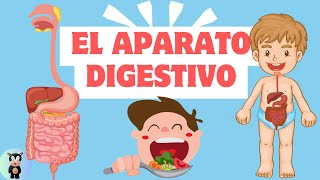 ¡Vamos a aprende el sistema digestivo para niños [upl. by Aikin]