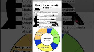 Borderline personality disorder [upl. by Frodeen]