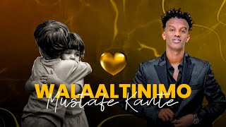 MUSTAFE KANTE 2024  WALAALNIMO  HEES CUSUB [upl. by Dnumde]