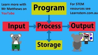 CS Basics Input Process Output [upl. by Annaihr]