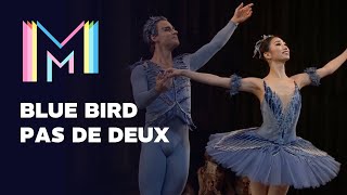 Clip of Sleeping Beauty Bluebird Pas de Deux  The Royal Ballet  Marquee TV [upl. by Soisanahta196]