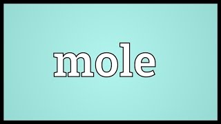 Mole Meaning [upl. by Llewxam]