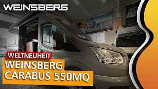 Der NEUE 2023 Weinsberg CaraBus FORD 550 MQ  Kastenwagen CAMPER VAN auf FORD TRANSIT Basis [upl. by Inafets]