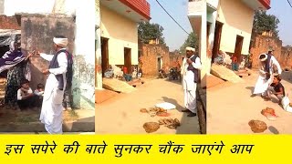 इस सपेरे की देसी इलाज की बात सुनकर चौंक जाएंगे आप Sapera Ka Ilazj  Sapera Ke Video  Pappu UP11 [upl. by Garson]