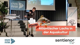 Atlantischer Lachs in der Aquakultur – Yannick Rohrer fairfish [upl. by Vasily]